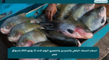 أسعار السمك البلطي والسردين والجمبري اليوم الأحد 22 يونيو 2025 بأسواق مصر